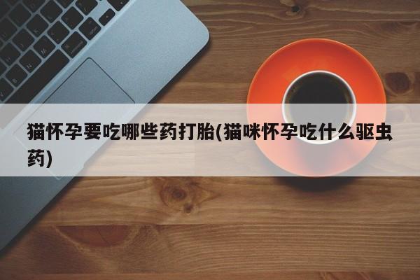 大月份流产药联系方式猫怀孕要吃哪些药打胎(猫咪怀孕吃什么驱虫药)